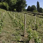 La Petite Bardouillère Hébergement de vacances *