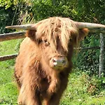 Hébergement de vacances La Petite Bardouillère Courdemanche (Sarthe)