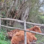 Hébergement de vacances La Petite Bardouillère
