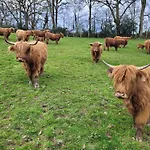La Petite Bardouillère Hébergement de vacances Courdemanche (Sarthe)