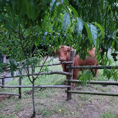 La Petite Bardouillere Nyaraló *