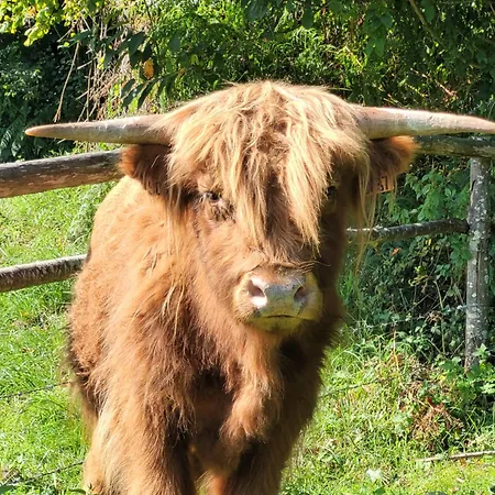 Nyaraló La Petite Bardouillere Courdemanche