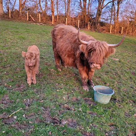 La Petite Bardouillere * Courdemanche