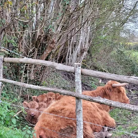 Nyaraló La Petite Bardouillere