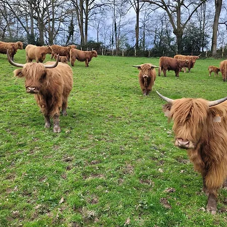 La Petite Bardouillere Nyaraló Courdemanche