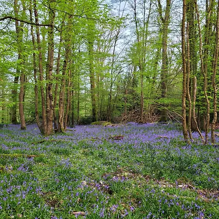La Petite Bardouillere Nyaraló *