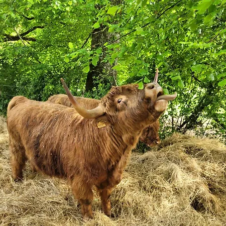 La Petite Bardouillere Nyaraló