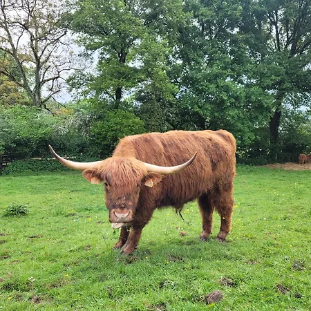 La Petite Bardouillere Courdemanche (Sarthe)