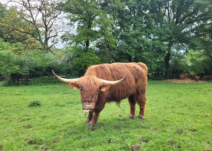La Petite Bardouillère Courdemanche (Sarthe)